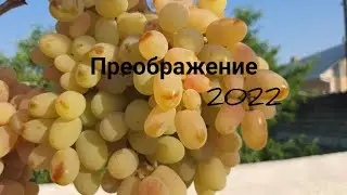 ПРЕОБРАЖЕНИЕ 2022