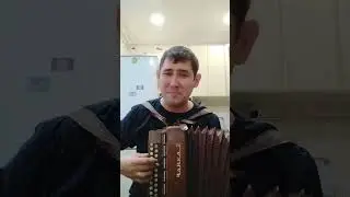 песня группы ДДТ Просвистела кавер под гармонь 🪗