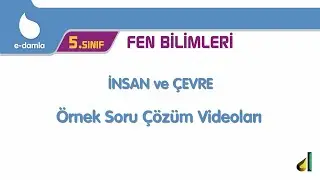 5. Sınıf Fen Bilimleri - 6. Ünite İnsan ve Çevre Örnek Soru Çözüm Videoları