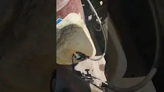 Глухой стук в моторе. Болезнь Гранты