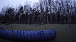 Лель 7.04.2015