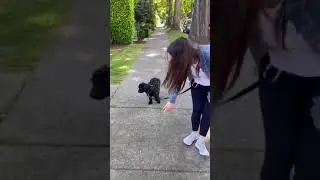 TPSC PK- Tutor Jessica & Clover loose leash walk number 1