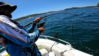 Monster Fish at Hawkesbury River, Unstoppable 