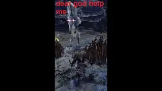 The Ranking Up Experience (MHW)