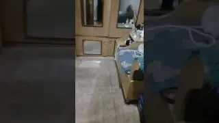 3 августа 2017 г.