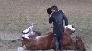 Funniest Horse Act Ever! Tommie Turvey and Pokerjoe! - Night of the Horse 2015 - 
