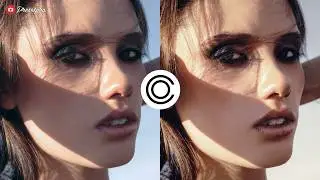 FREE Capture One Style 