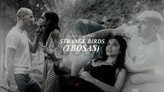 Coriolanus Snow & Lucy Gray | STRANGE BIRDS (TBOSAS)