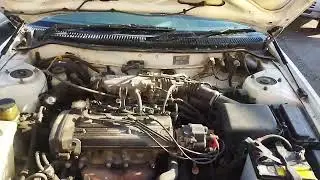 Газовые упоры капота  на тойота короллу 100