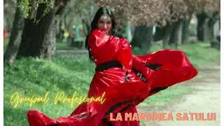 Grupul Profesional-La marginea satului(veche)