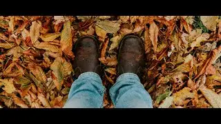 Autumn In Chaos DEMO