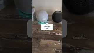 HomePod vs Echo dot ￼