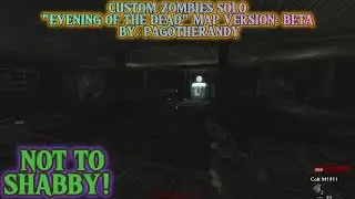 Custom Zombies Solo▐ 