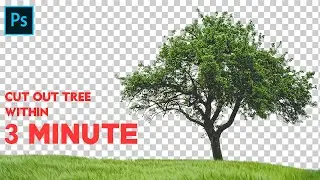 Photoshop Tutorial | How to Cut Out a Tree in Photoshop cc