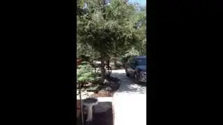 Jun 17, 2013