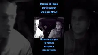 Обычные Пассажиры Яндекс Такси / Всё О Работе В Такси