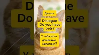 Диалог на английском языке с переводом 