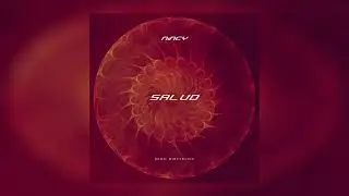NiNCY - Salud | #DRILL #ARG Prod; @Nincymusic2  (Official Audio)