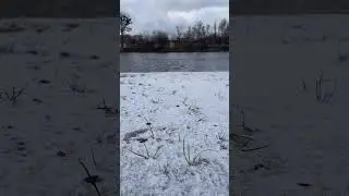 Пинск сегодня... ЗОЖ