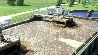 Tratamiento de efluentes cloacales Biotecnología