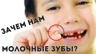 ЗАЧЕМ НАМ МОЛОЧНЫЕ ЗУБЫ? ДЛЯ ЧЕГО ОНИ НУЖНЫ?