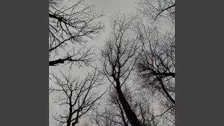 Самое тёмное утро
