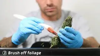 CannaBrush Cannabis Trimming Tool