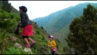 Сары Камыш Жайлоосу 2013 жылы