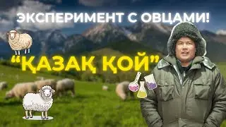 Племенной центр 