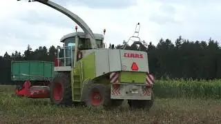 Siláže 2020/Corn Silage/Claas jaguar/Case/Jcb/Massey ferguson/Divoká prasata!