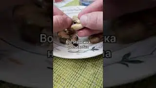 Как на самом деле нужно чистить мидии