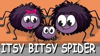 ITSY BITSY SPIDER - Song for Children