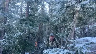 Crazy Day Bowhunting Timber Ghosts