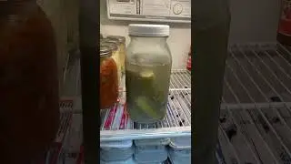 Fermenting cucumbers￼ #gardening #fermenting #lactofermentation￼
