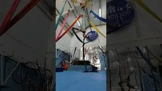 Life is better upside down 🙃🤸