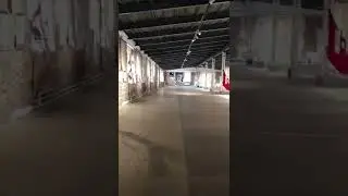 Выставка Сальвадора дали в Санкт Петербурге