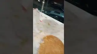 Funny clip