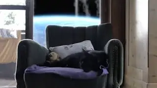 Johann Faustus - My Ship Sailed Without Me (Official Cat Video) (Fenriz' Red Planet Cover)