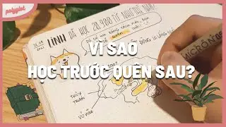 Vì sao ta hay quên từ vựng? 📝 | Từ vựng 101 (P1) | 2021
