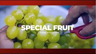 FAZENDA SPECIAL FRUIT - DOCUMENTÁRIO