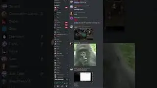 400 MEMBERS IN 1 DAY ??? | https://discord.gg/dsocommunity NEW SERVER !!!#shortsvideo #shorts #short