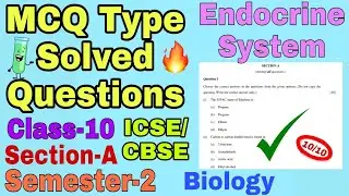 MCQ Type Solved Questions of 