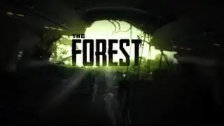 TheForest  (маленький лагерь)