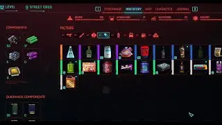 Cyberpunk (4k textures with dark future mod) pt8