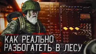 ГАЙД КАК ЗАРАБОТАТЬ МИЛЛИОНЫ В ЛЕСУ 