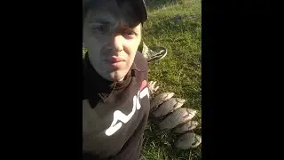 Гигантские караси на чупа-чупс(малые водоемы Червенского района)