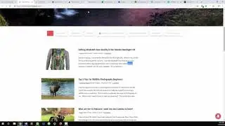 10 Highly Successful and Profitable Blogs