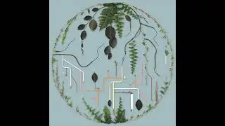 Brian Finnegan - Fathom (El Búho Remix)