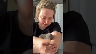 У нас новый житель 😉