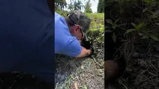 LOOK WHAT WE FOUND IN THIS DARK MUD HOLE